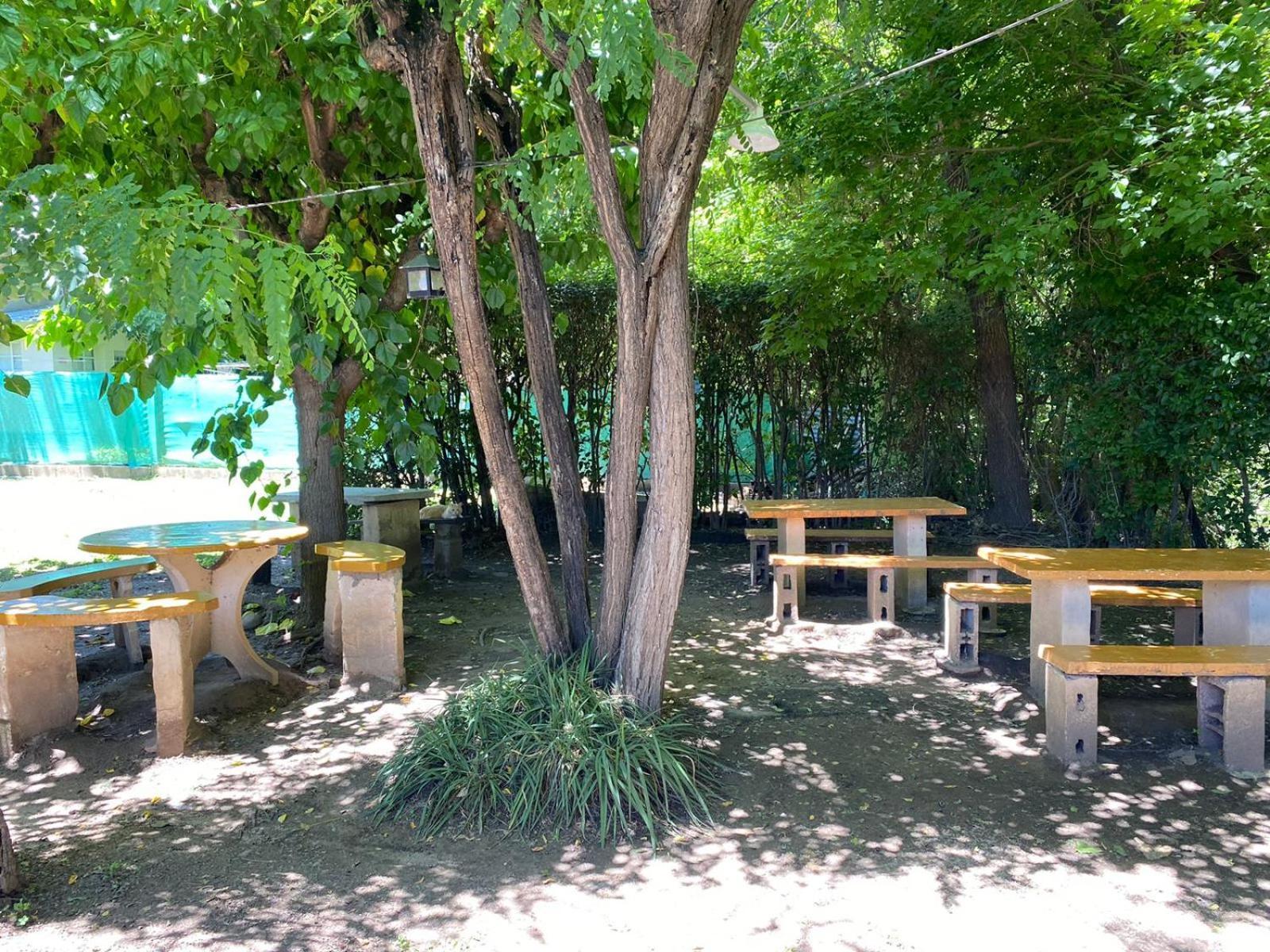 Departamentos Cedros